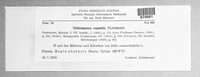 Melampsora epitea image
